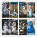 Globe Valve